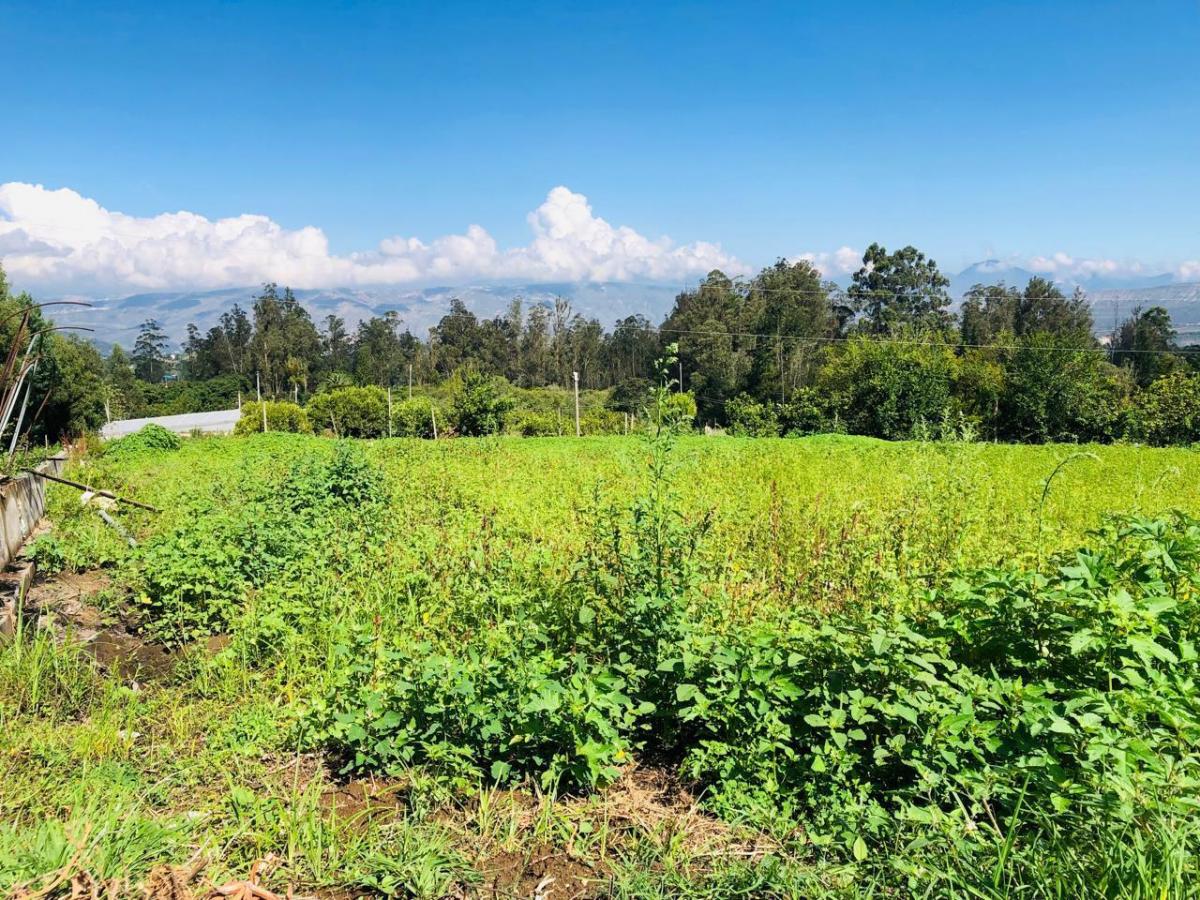 Vendo en Guaylabamba 412 m² Credito Directo — imagen 6