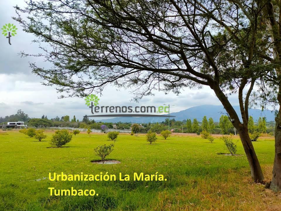 Venta Terreno Bifamiliar 2.504 M².tumbaco. Provincia de Pichincha — imagen 10