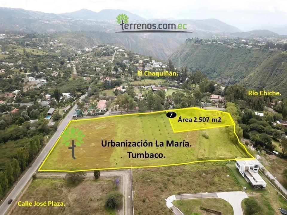 Venta Terreno Bifamiliar 2.504 M².tumbaco. Provincia de Pichincha — imagen 9