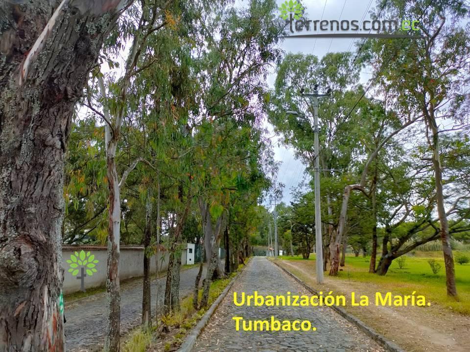 Venta Terreno Bifamiliar 2.504 M².tumbaco. Provincia de Pichincha — imagen 8