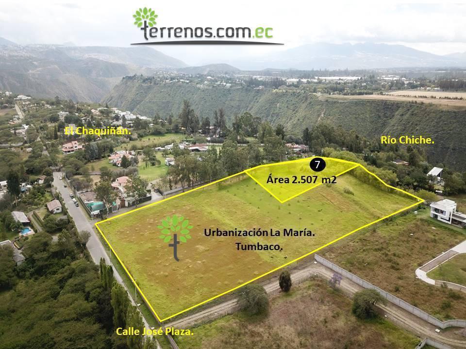 Venta Terreno Bifamiliar 2.504 M².tumbaco. Provincia de Pichincha — imagen 7