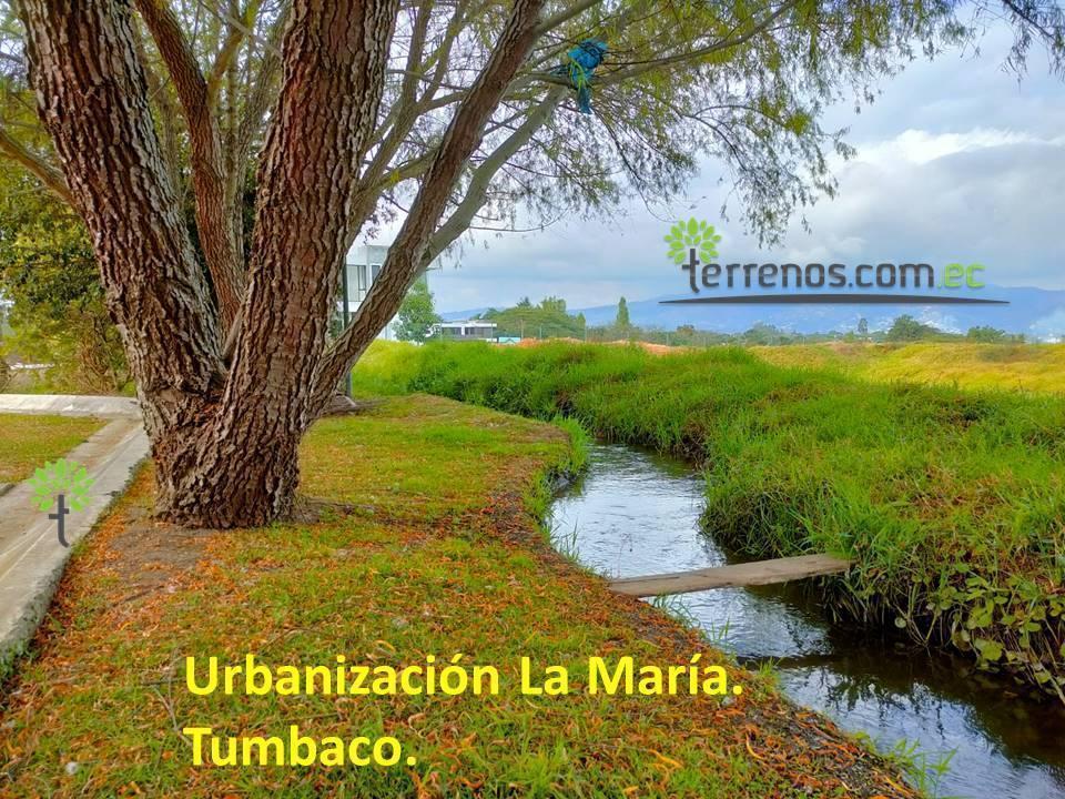 Venta Terreno Bifamiliar 2.504 M².tumbaco. Provincia de Pichincha — imagen 6