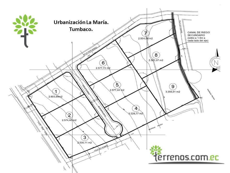 Venta Terreno Bifamiliar 2.504 M².tumbaco. Provincia de Pichincha — imagen 2