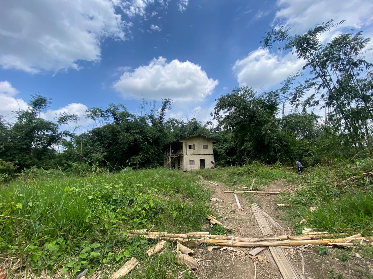 Vendo 77 Hectáreas Planas en El Sector de Paraíso Alto en Pedro Vicente Maldonado — imagen 8