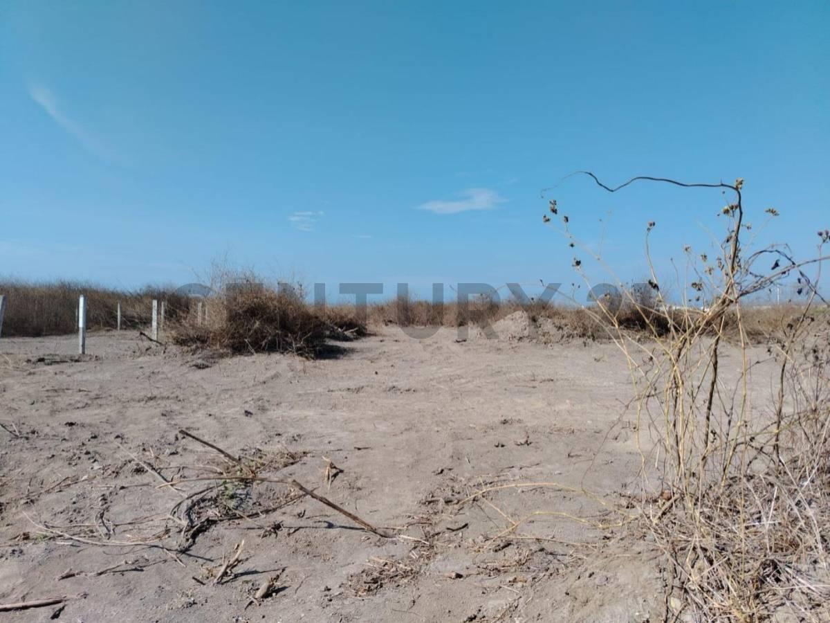Oportunidad de Inversión, Manabí — imagen 10