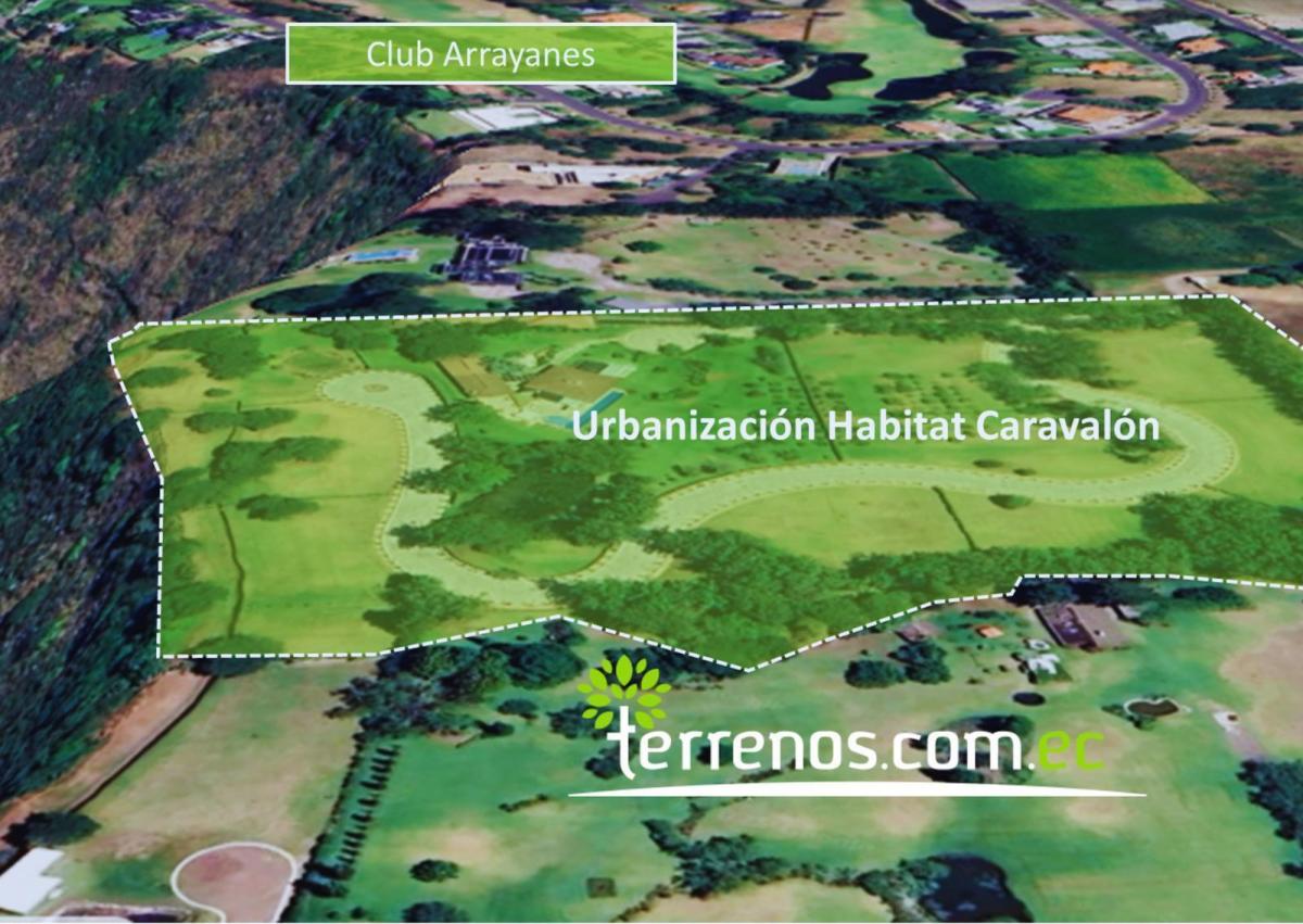 Terrenos de Venta Desde 2.397 m² Hasta 2.618 m² en Urb. Habitat Caravalón, Arrayanes - Puembo — imagen 10