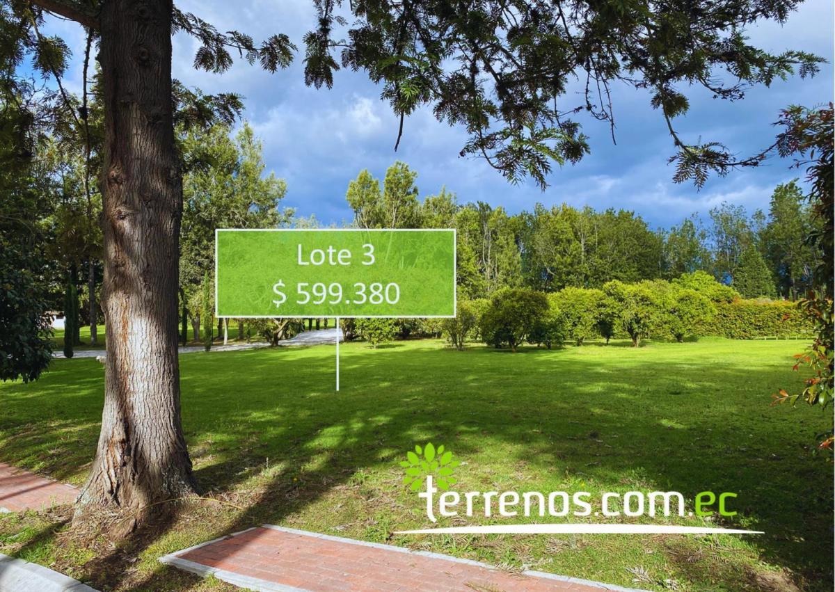 Terrenos de Venta Desde 2.397 m² Hasta 2.618 m² en Urb. Habitat Caravalón, Arrayanes - Puembo — imagen 9