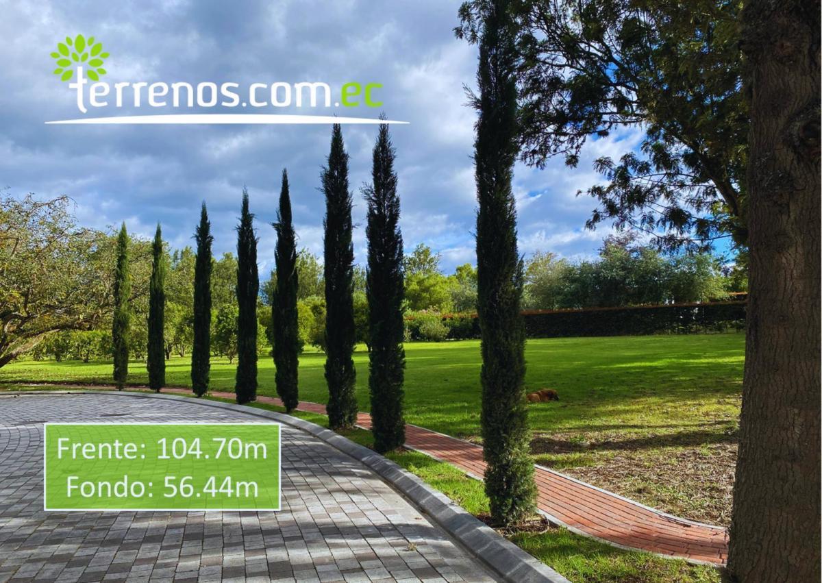 Terrenos de Venta Desde 2.397 m² Hasta 2.618 m² en Urb. Habitat Caravalón, Arrayanes - Puembo — imagen 8