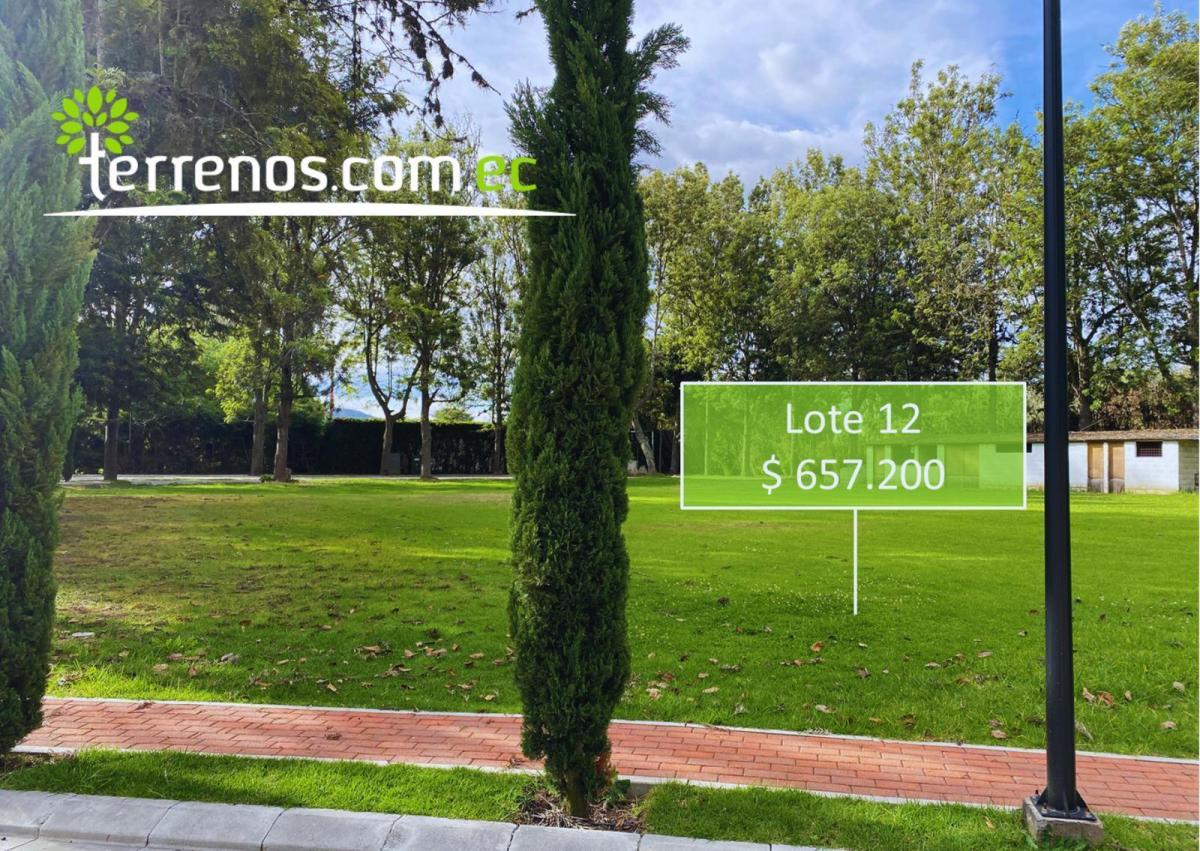 Terrenos de Venta Desde 2.397 m² Hasta 2.618 m² en Urb. Habitat Caravalón, Arrayanes - Puembo — imagen 7