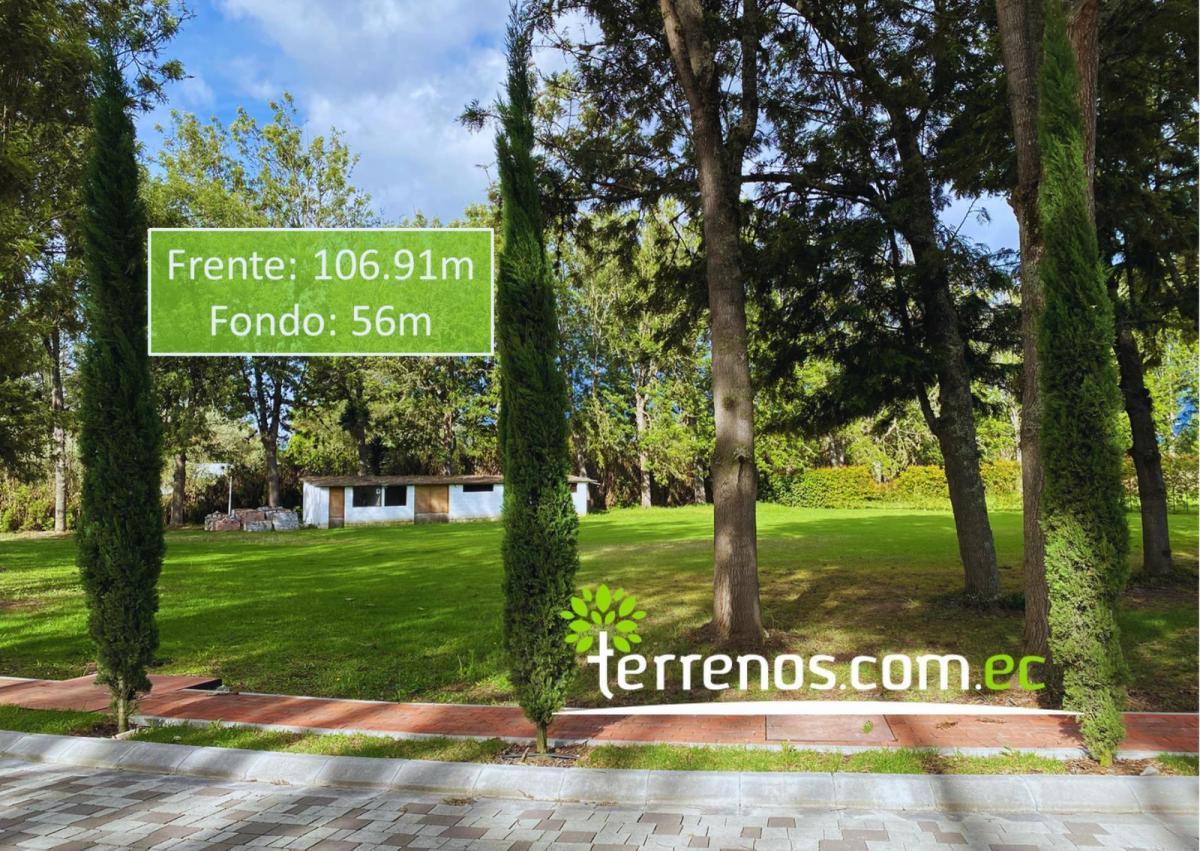 Terrenos de Venta Desde 2.397 m² Hasta 2.618 m² en Urb. Habitat Caravalón, Arrayanes - Puembo — imagen 6