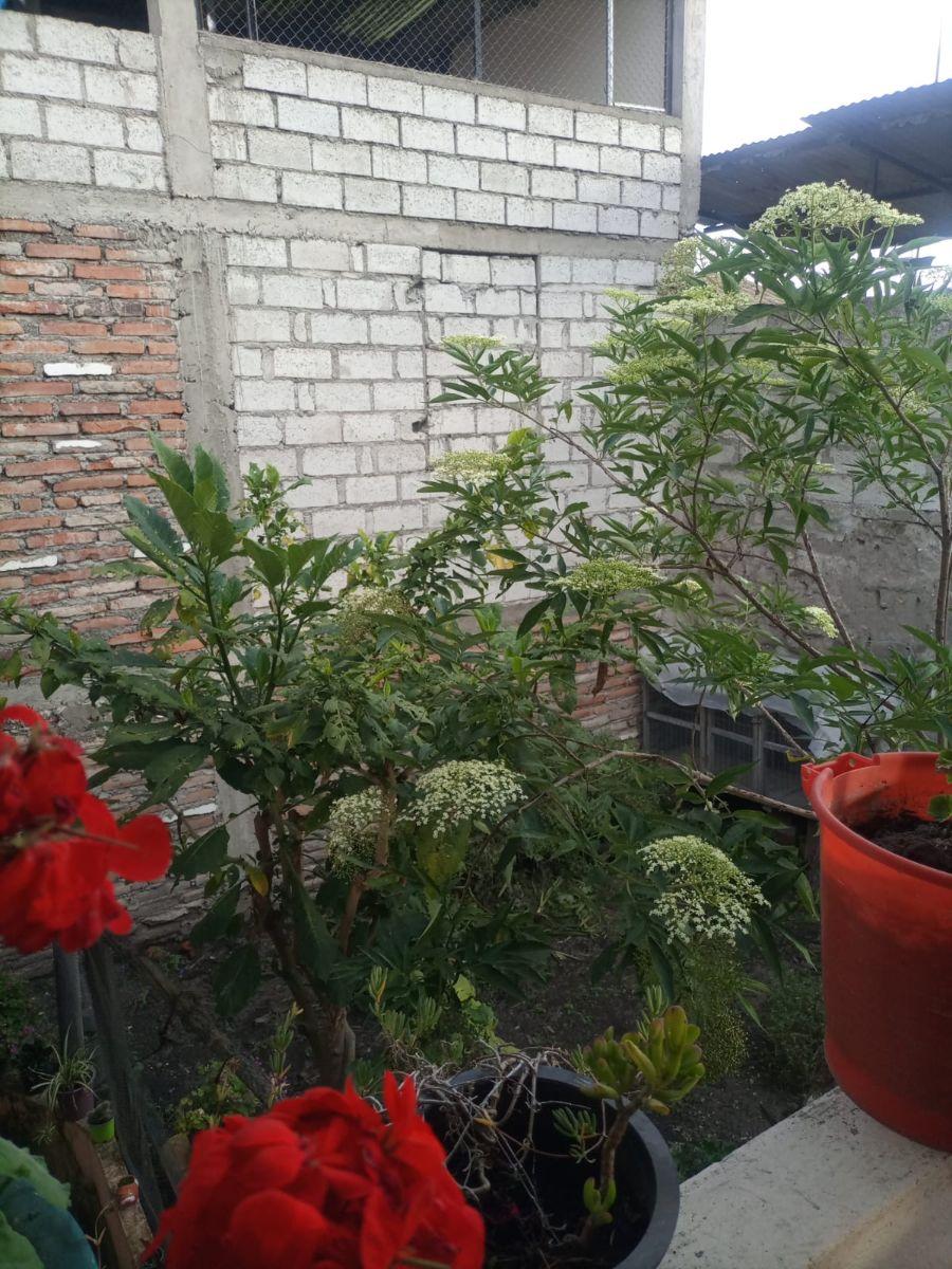 Vendo Casa Comercial en Pujili - Cotopaxi, Cotopaxi — imagen 6