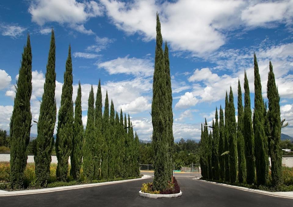 Puembo. Hermoso Terreno Venta — imagen 10