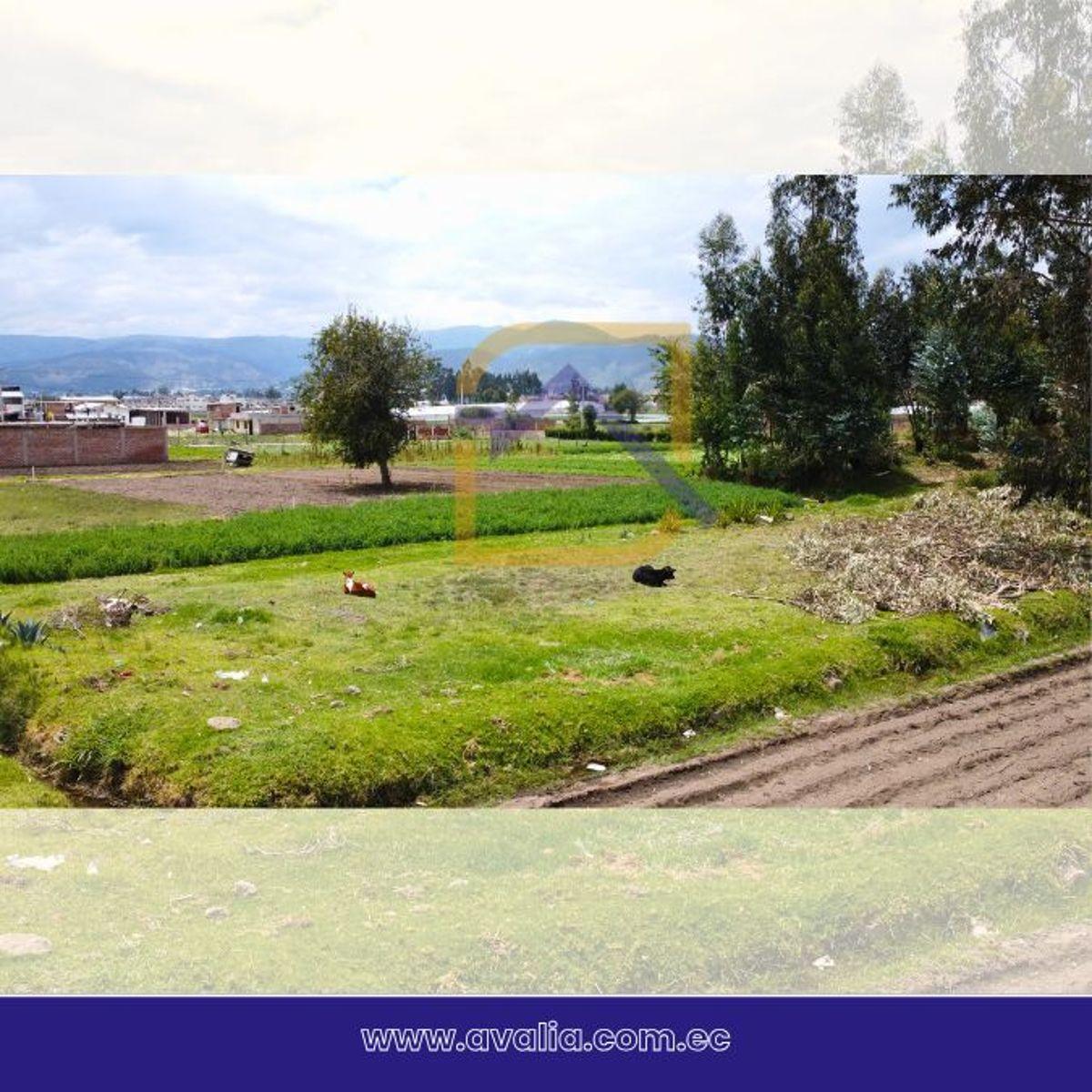 Terreno en Venta Al Sur de La Ciudad de Riobamba 1382 m, Chimborazo — imagen 9