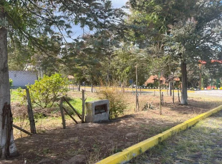 Venta Terreno 496 Pifo Urbanizacion Wilson — imagen 1