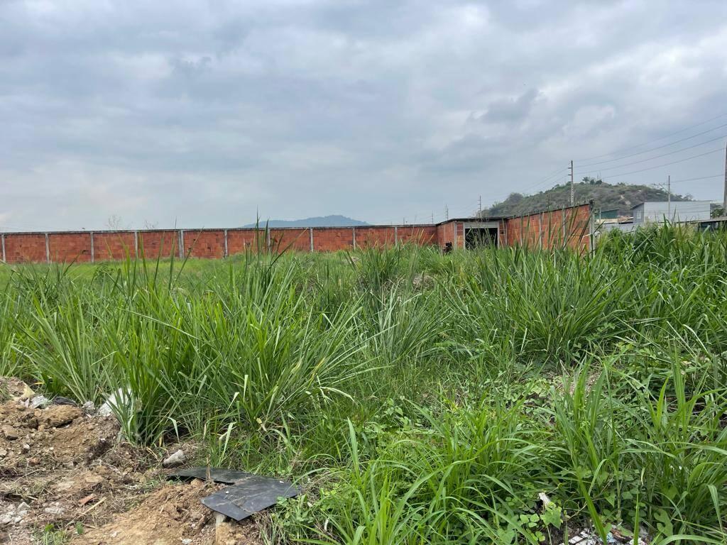 Venta de Terrenos Para Bodegas 1796 m² - Av León Febres Cordero Km 14, Guayas — imagen 3
