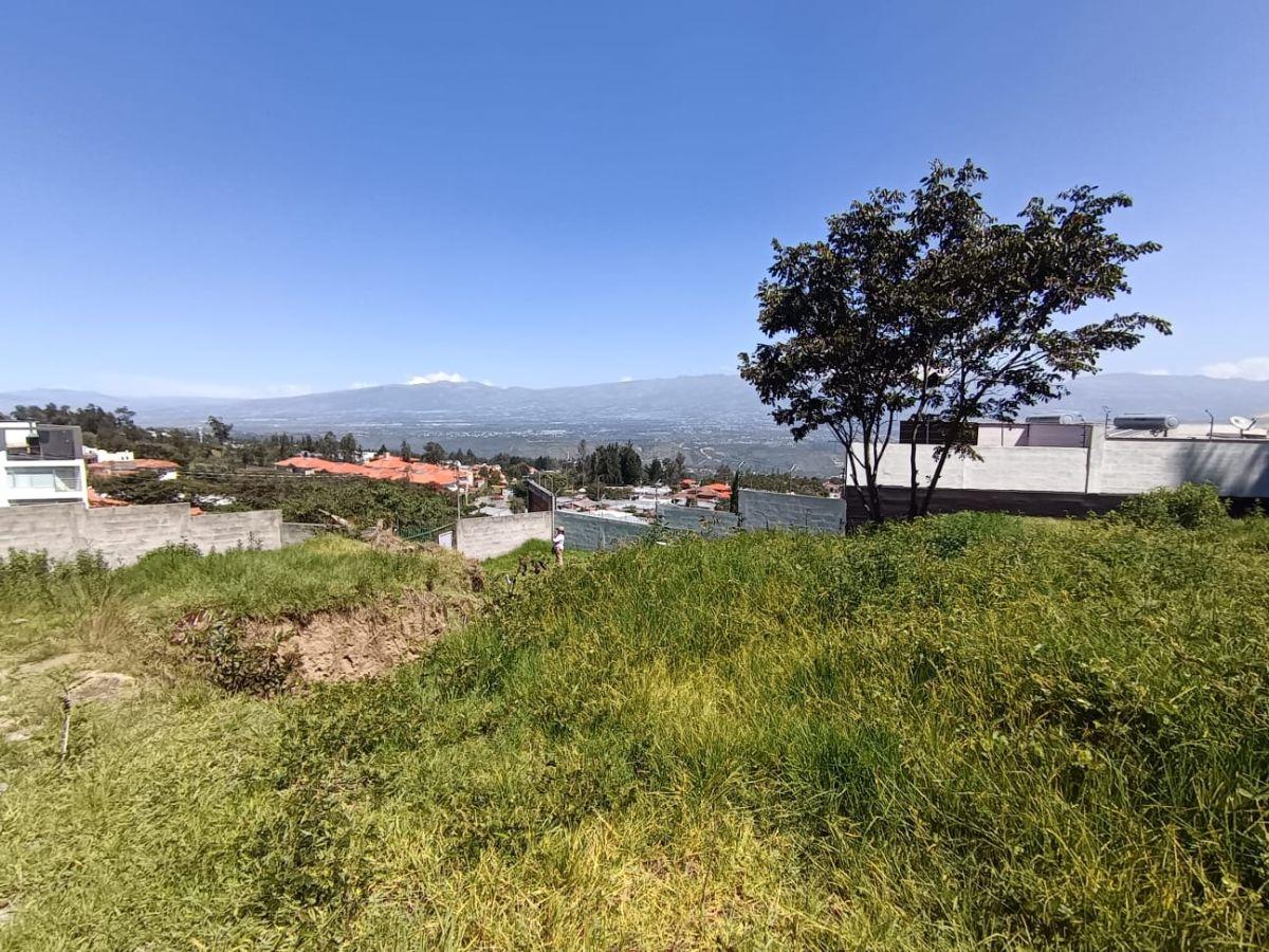 Se Vende Terreno en Inchapicho con Vista Espectacular — imagen 10