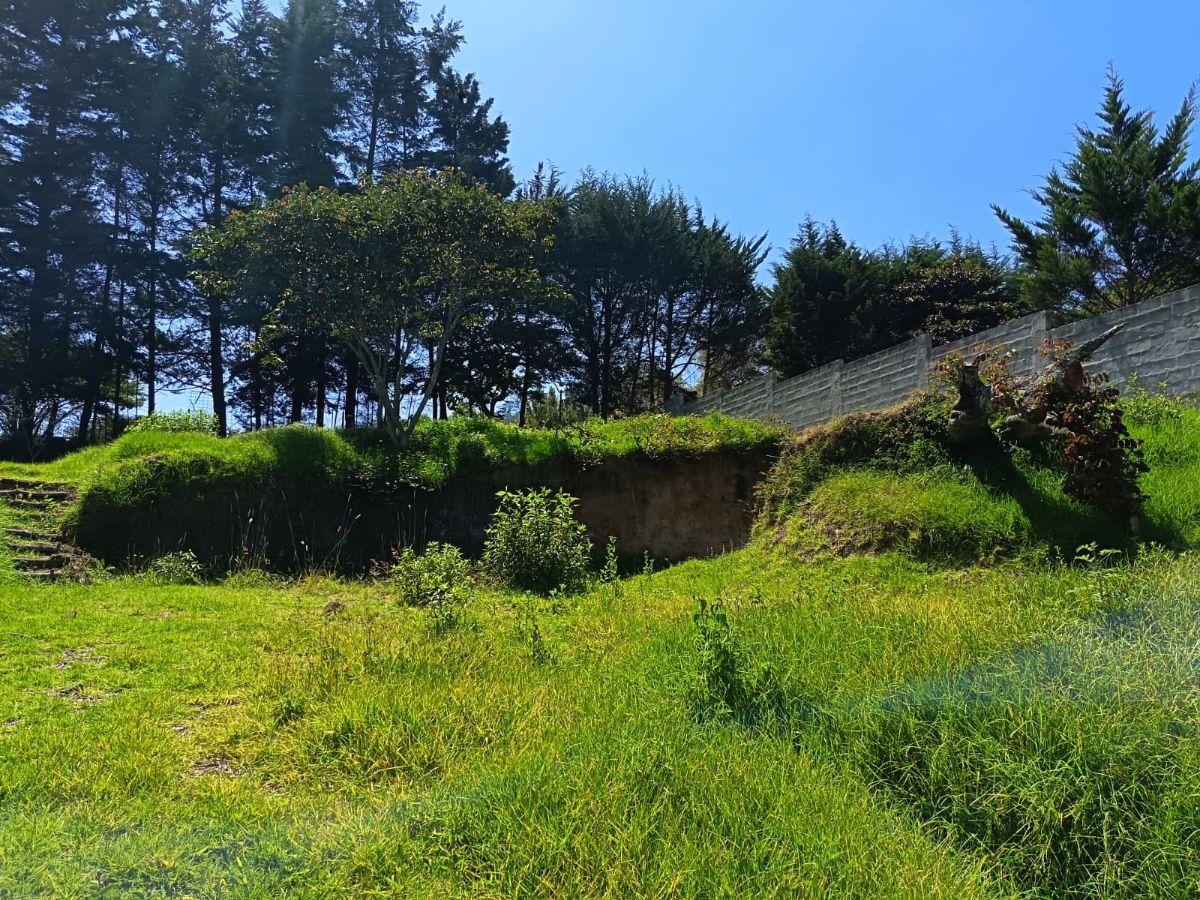 Se Vende Terreno en Inchapicho con Vista Espectacular — imagen 9