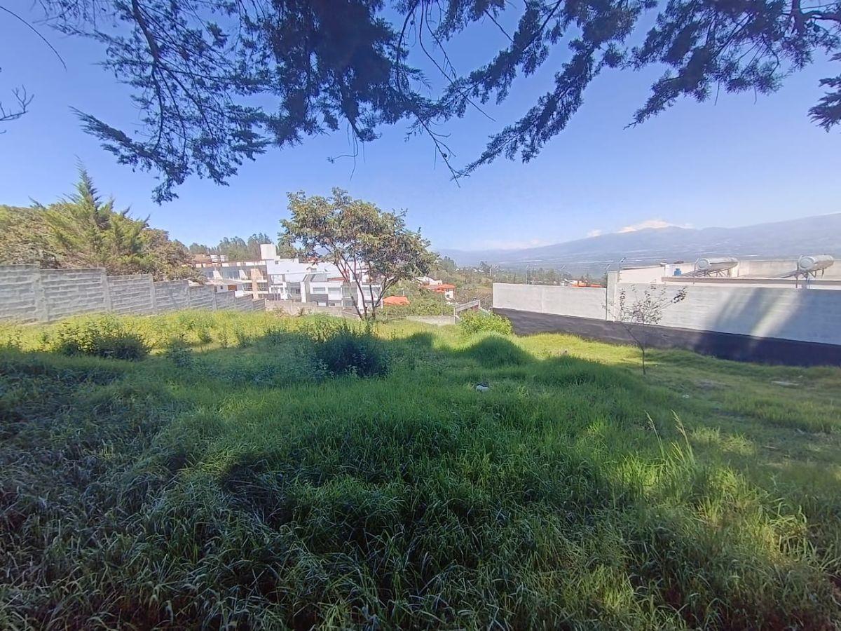Se Vende Terreno en Inchapicho con Vista Espectacular — imagen 8