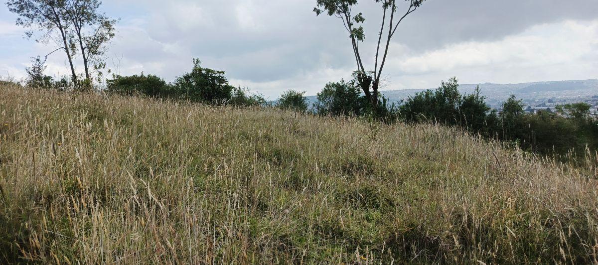 Terreno Esquinero en Venta 1065 m Chillogallo — imagen 3