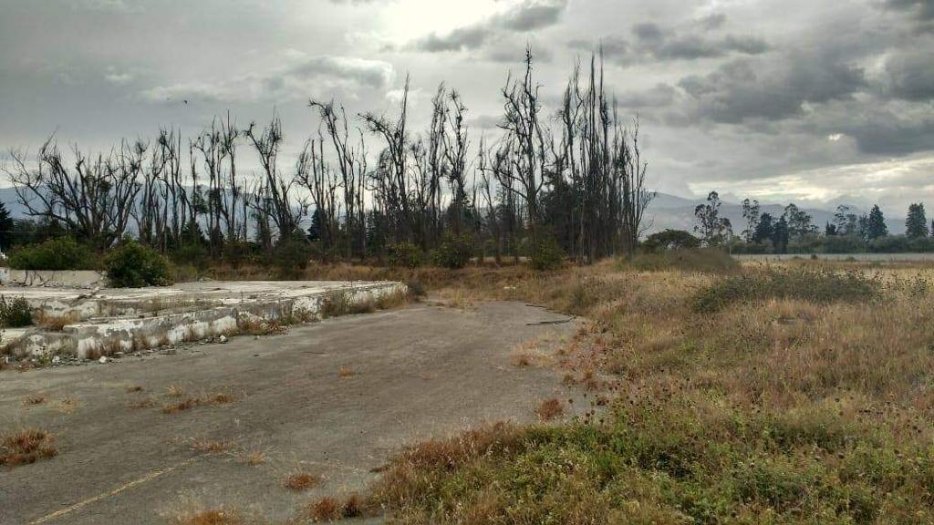 Venta Terreno Comercial 6.7 Hectáreas – El Quinche, Tumbaco — imagen 3