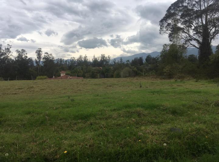 Vendo Terreno Plano en Puembo – Sector Chiche Obraje — imagen 9