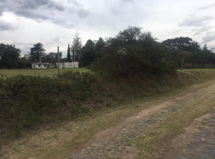 Vendo Terreno Plano en Puembo – Sector Chiche Obraje — imagen 7