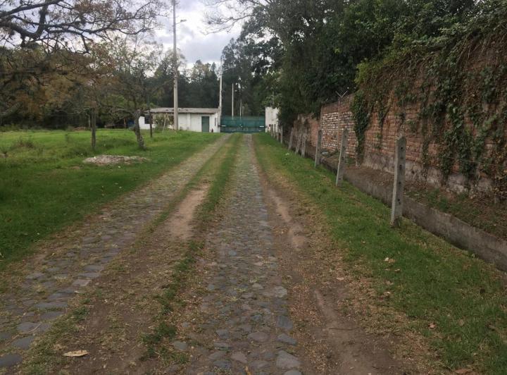 Vendo Terreno Plano en Puembo – Sector Chiche Obraje — imagen 6