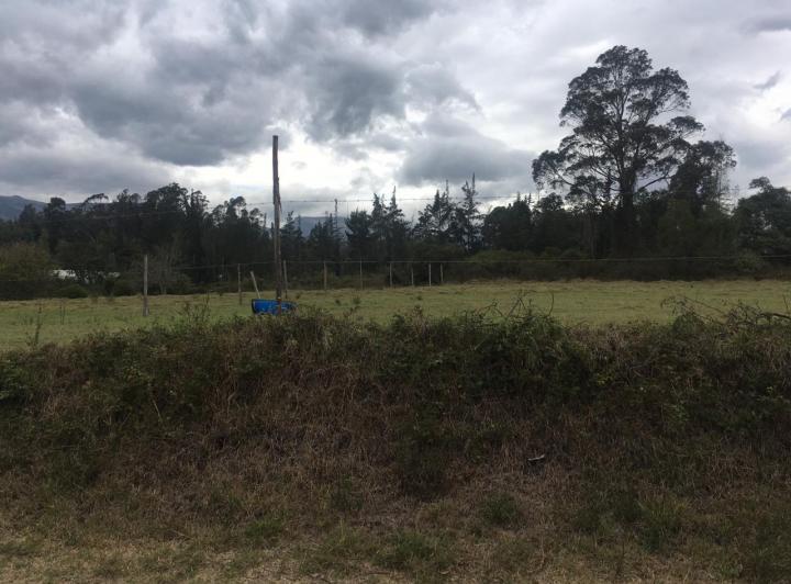 Vendo Terreno Plano en Puembo – Sector Chiche Obraje — imagen 2