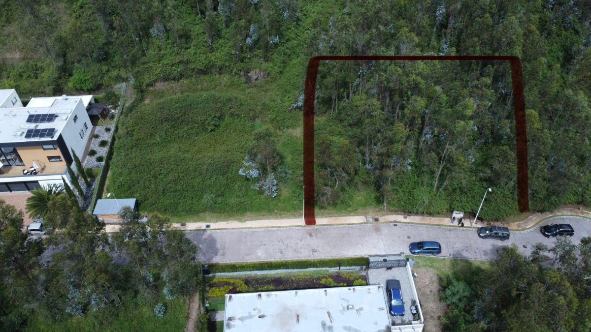 Se Vende Terreno en Urbanización Monte Abruzzo Sector Universidad Internacional — imagen 7