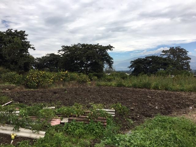 Yaruqui, 20.000 Mt. Ideal Para Proyecto Inmobiliario Vivienda Popular 19500 Mt — imagen 9