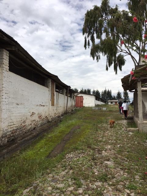 Yaruqui, 20.000 Mt. Ideal Para Proyecto Inmobiliario Vivienda Popular 19500 Mt — imagen 7