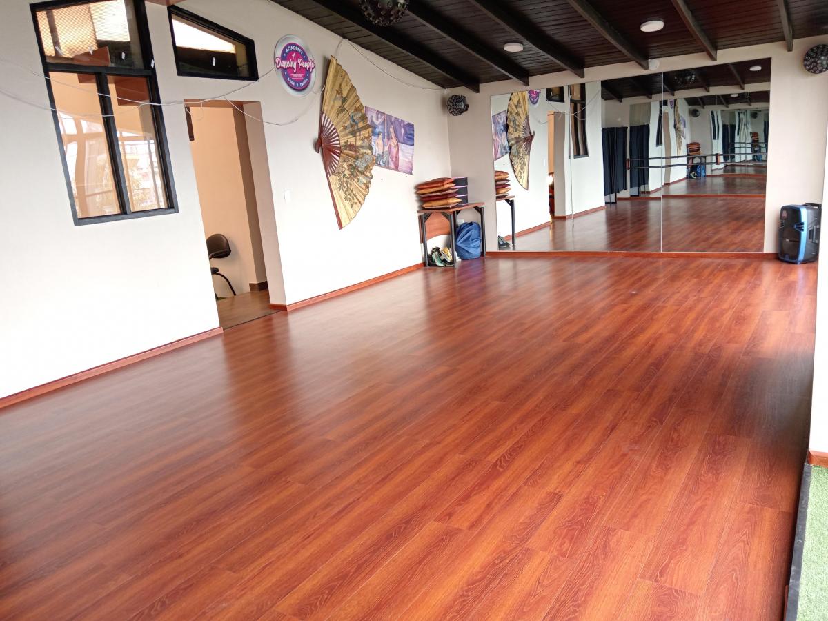 Se Vende Casa Comercial, Sector Plaza de Toros — imagen 10