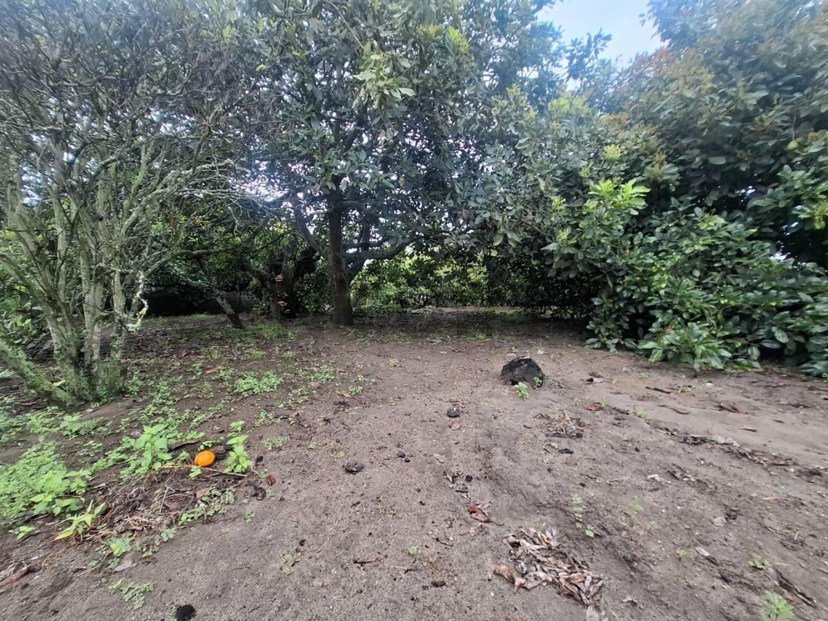 Terreno de Venta en Guayllabamba — imagen 5