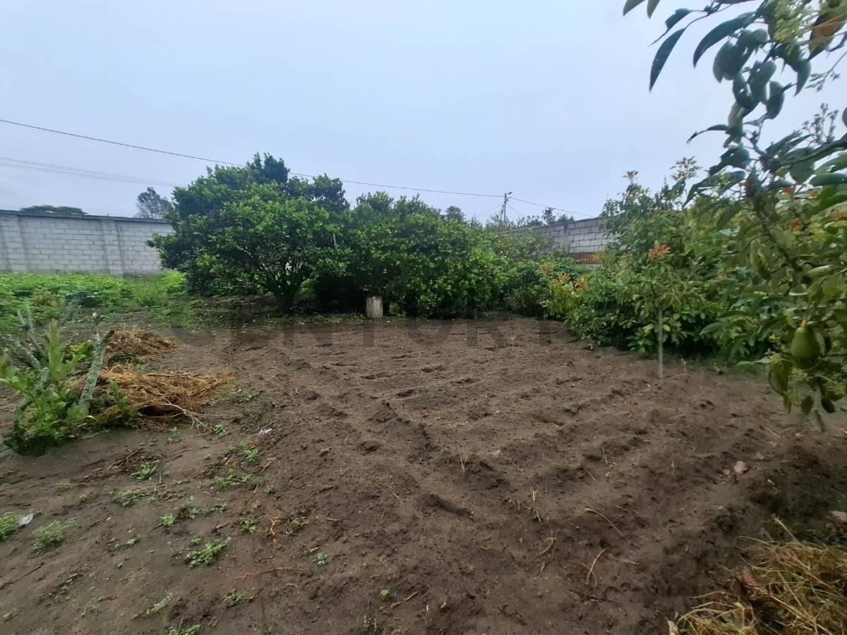 Terreno de Venta en Guayllabamba — imagen 4