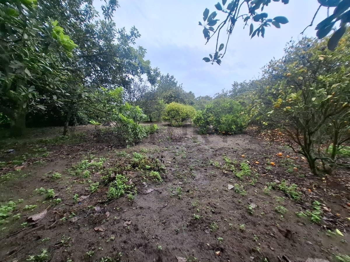 Terreno de Venta en Guayllabamba — imagen 3