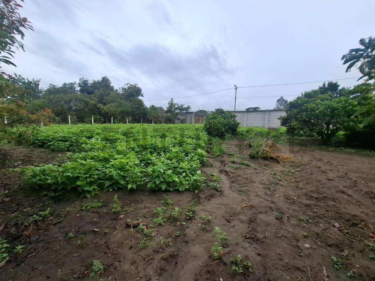 Terreno de Venta en Guayllabamba — imagen 2