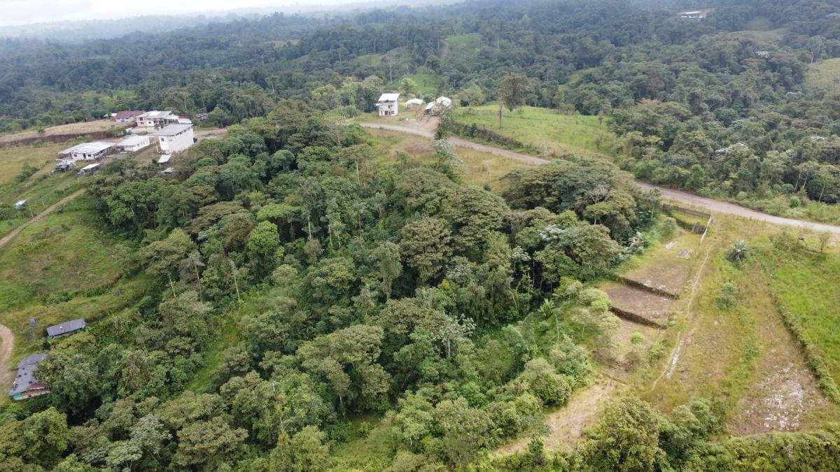 En Venta Terreno de 8.500 Mtrs 2 en San Miguel de Los Bancos — imagen 6