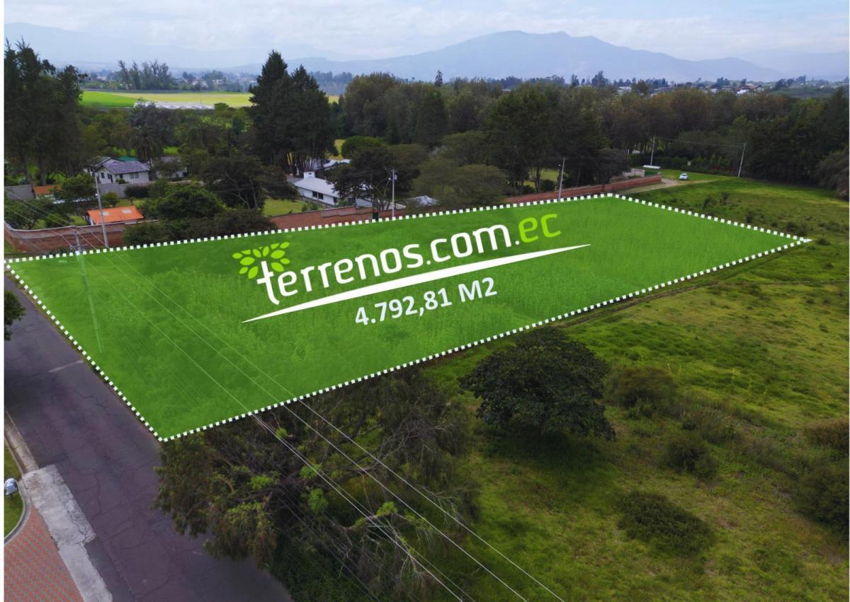 Terreno de Venta de 4.792,81 m², Vía Los Arrayanes - Puembo — imagen 6