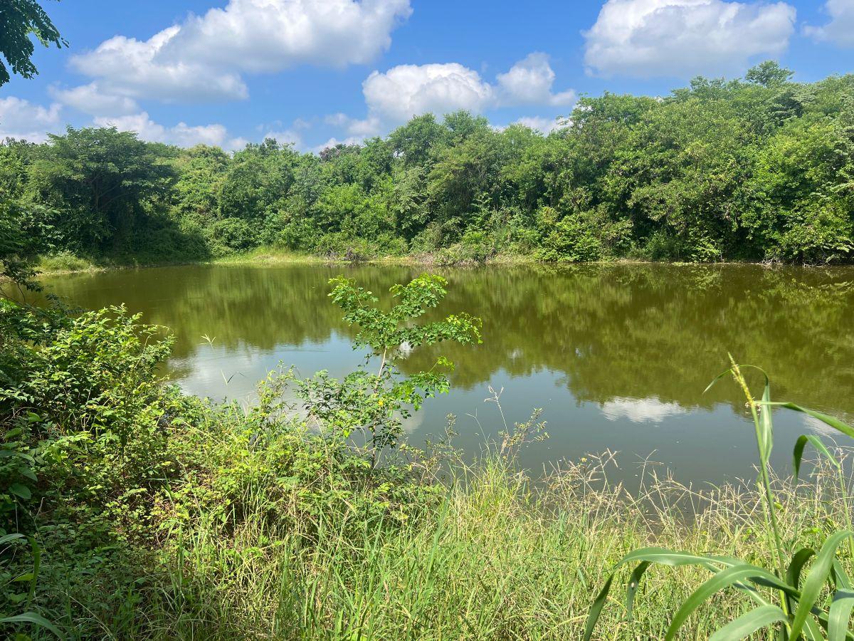 Venta Finca 30 Has Vía a Limoncito, Km 30 Vía La Costa a La Derecha, Sector Limoncito - Juntas, Guayas — imagen 9