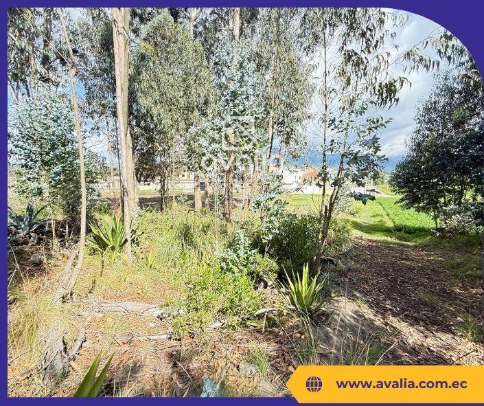 Venta de Terreno Al Sur de Riobamba, Sector Nueva Circunvalación, Chimborazo — imagen 10