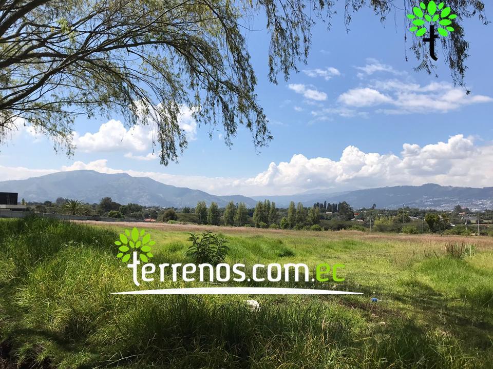 Terreno Unifamiliar en Venta, 2574,40 m². Tumbaco — imagen 5