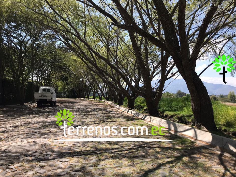 Terreno Unifamiliar en Venta, 2574,40 m². Tumbaco — imagen 4