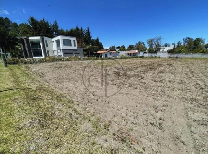 Puembo Mangahuantag 1250 m² Terreno en Venta Urbanizacion Privada — imagen 1