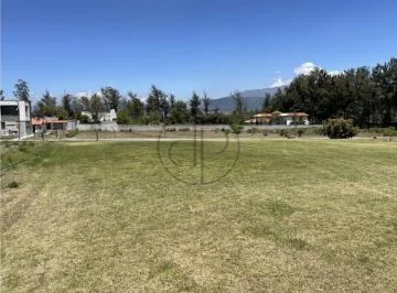 Puembo Mangahuantag 1250 m² Terreno en Venta Urbanizacion Privada — imagen 5
