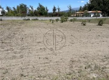 Puembo Mangahuantag 1250 m² Terreno en Venta Urbanizacion Privada — imagen 4