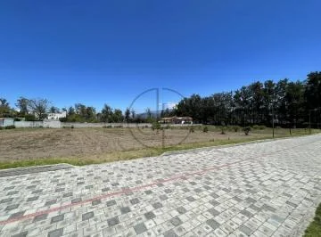 Puembo Mangahuantag 1250 m² Terreno en Venta Urbanizacion Privada — imagen 3
