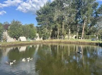 Puembo Mangahuantag 1250 m² Terreno en Venta Urbanizacion Privada — imagen 2