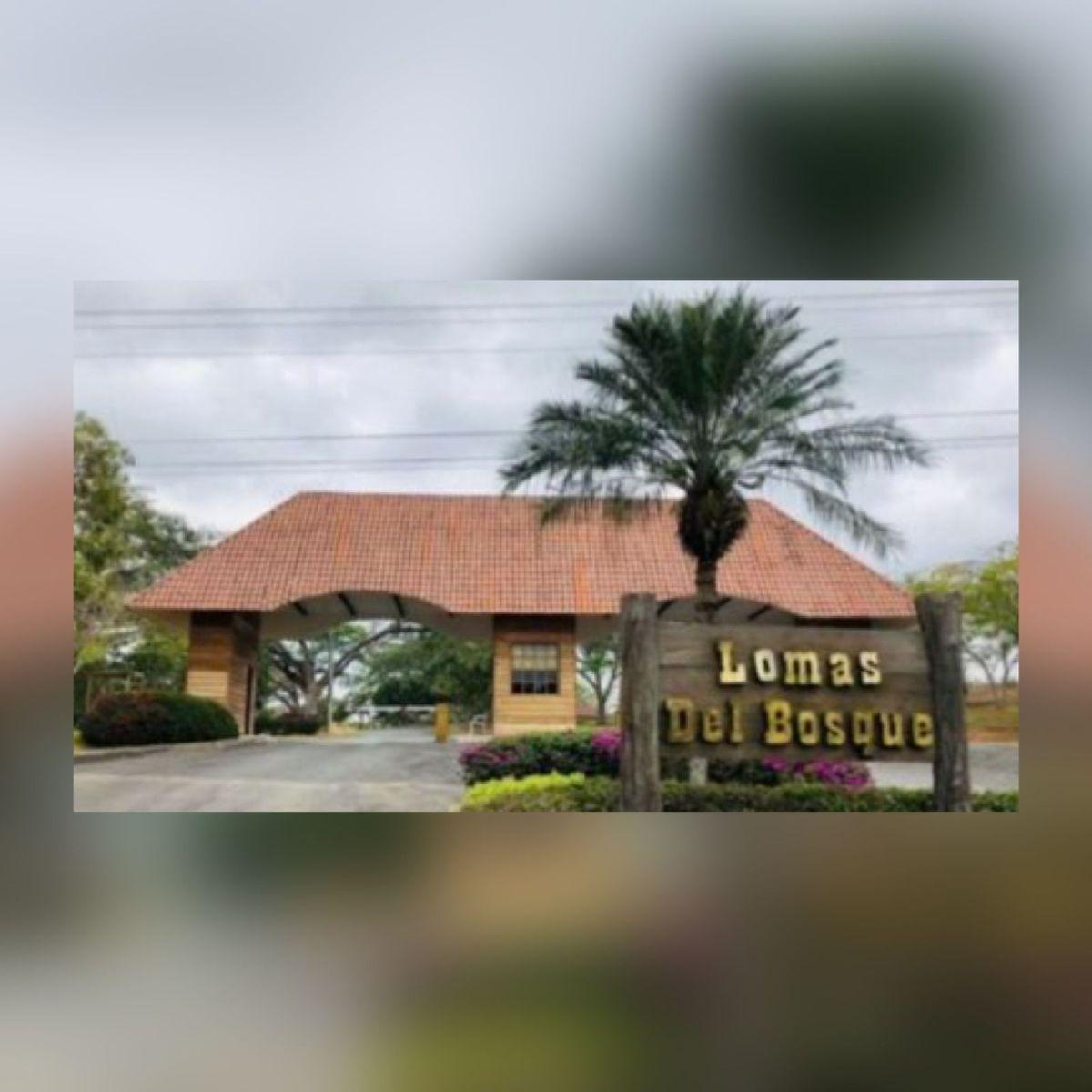 Terreno en Venta en Urbanización Lomas del Bosque – Vía a La Costa, Guayas — imagen 5