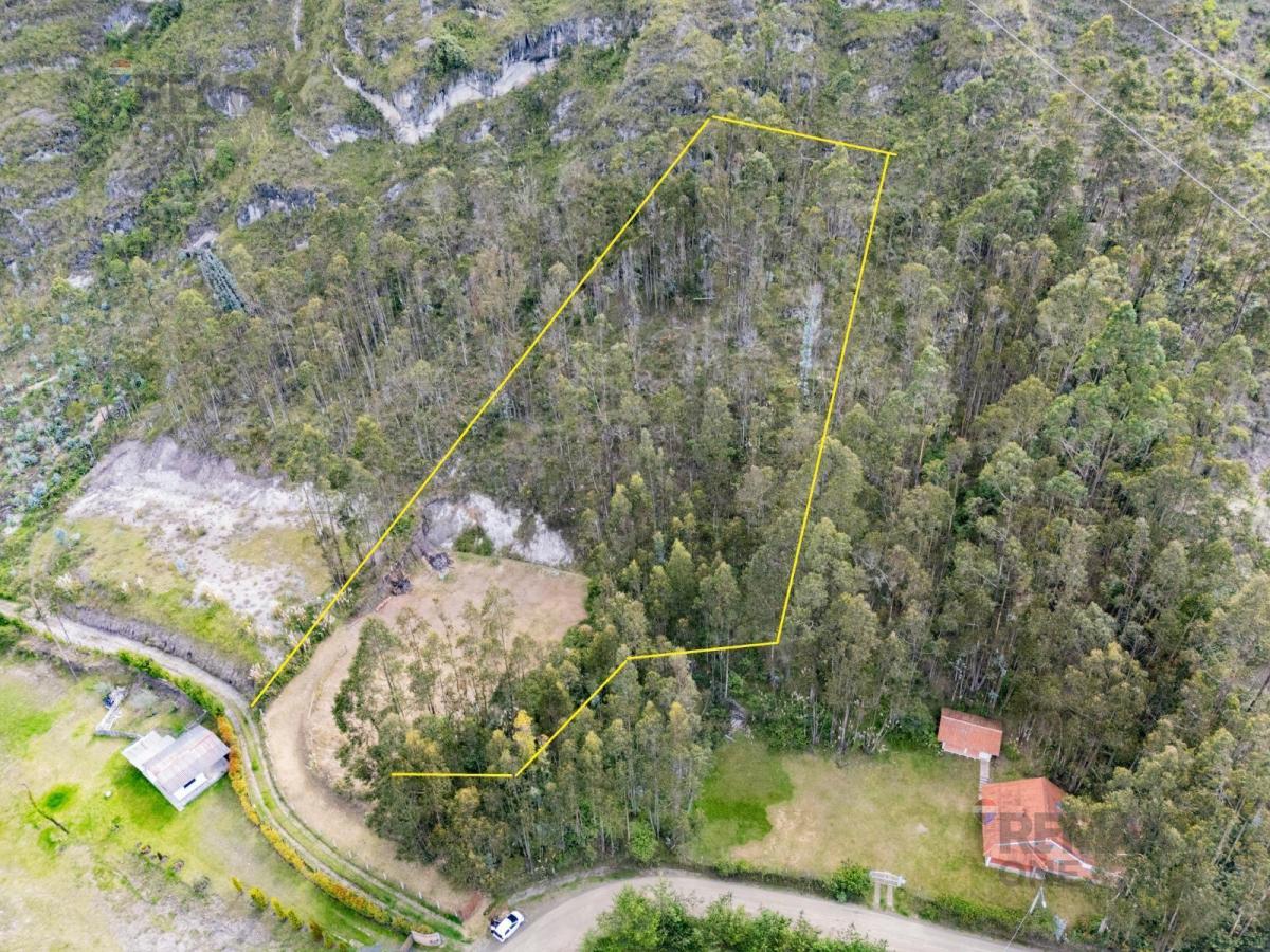 Terreno en Sur de Deleg — imagen 5
