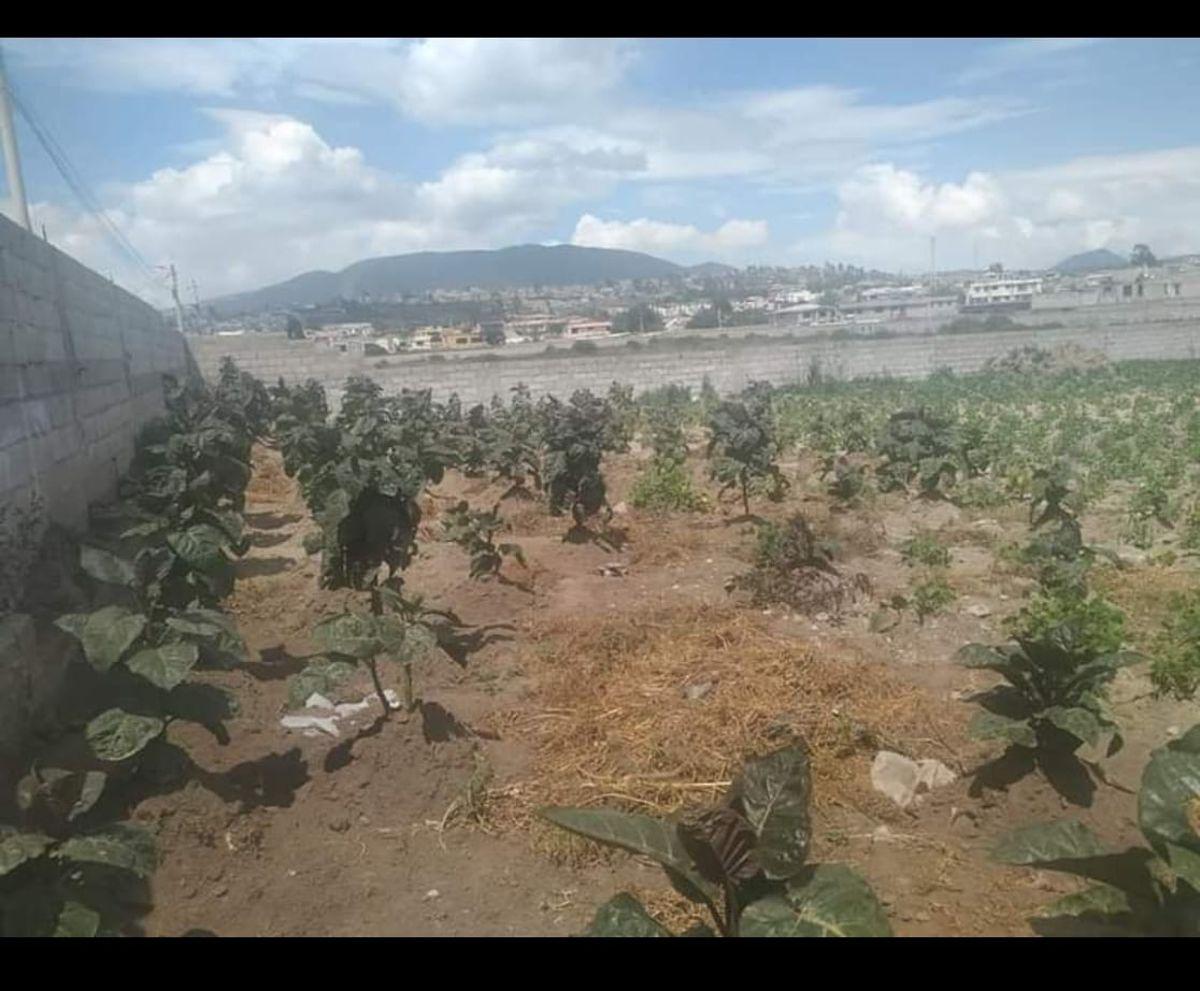 ️️se Vende Terreno Plano de Oportunidad Sector Calderon Norte de Quito.️️ — imagen 2